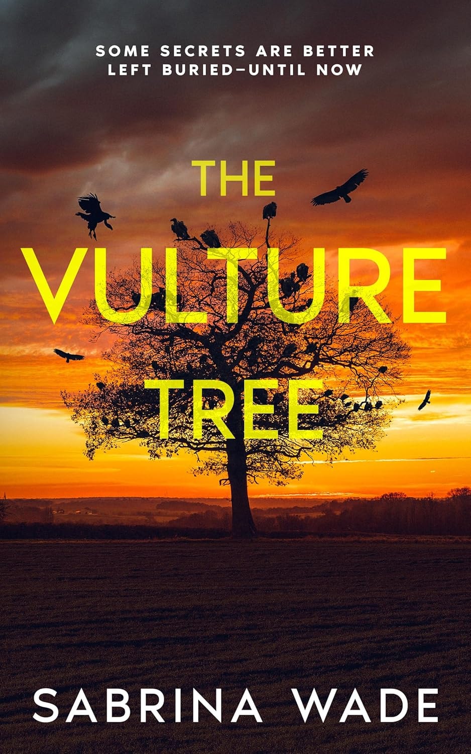 The Vulture Tree by Sabrina Wade – book cover